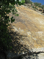 Seen from the trail in Dinosaur Ridge.