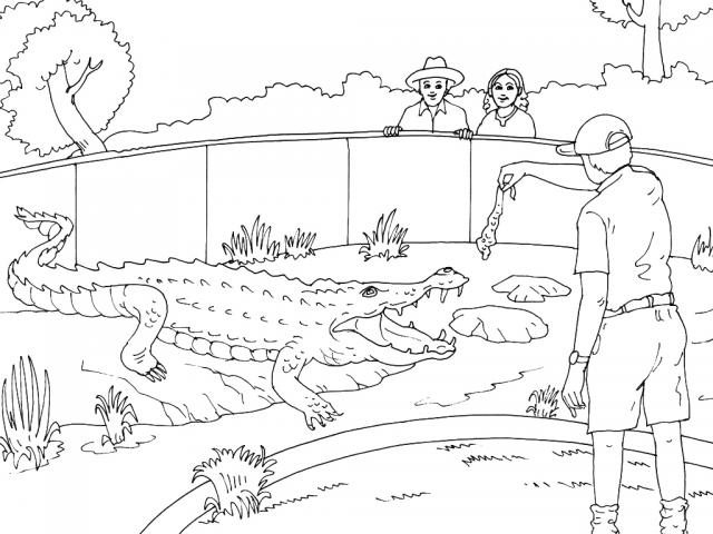 Zoo Line Art : Zoo images for drawing