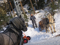 IMG_5136.JPG