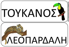 ΖΩ6 ΖΩ6