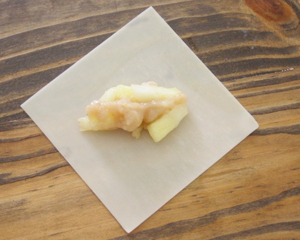 [wonton%2520apple%2520pie%255B5%255D.jpg]
