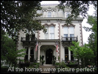 IMG_5214 IMG_5214