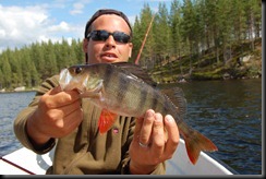 suede_laponie_gafsele_lappland pro natur_pêche_brochet_perche_pike_perch_sweden_sverige_alban regnoult_lpn048
