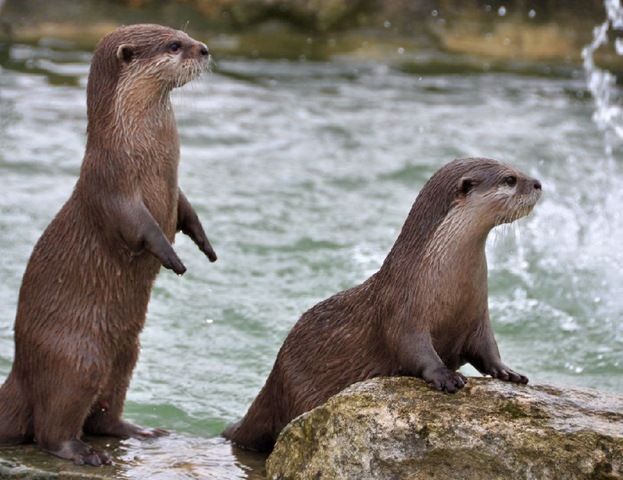 [Two%2520of%2520the%2520boys%2520looking%2520intently%255B3%255D.jpg]