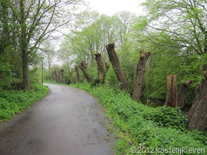 IMG_0642 IMG_0642