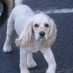 DSCN4662.jpg