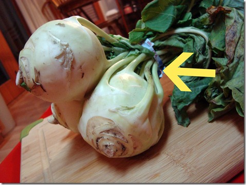 kohlrabi roots