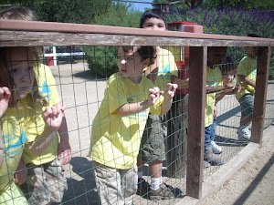 Trying to get a closer look at the animals!