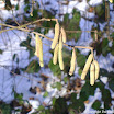 DMG_DSC06303.jpg