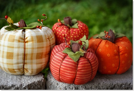 Mom's pumpkins