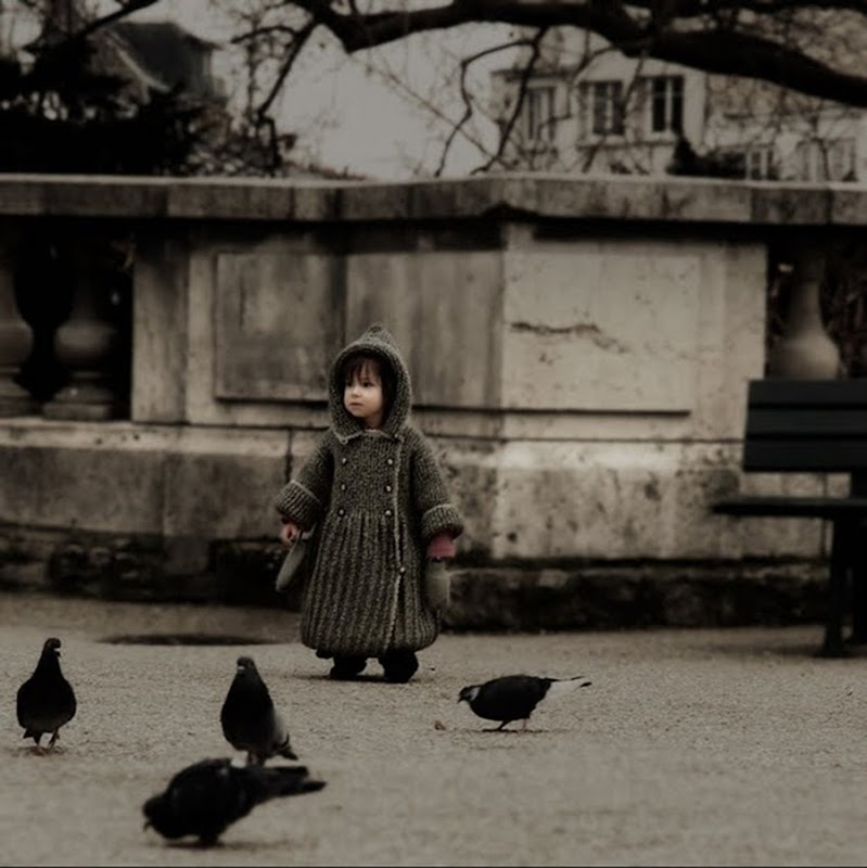 Amelie (2)