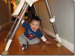 IMG_0023 (8) IMG_0023 (8)