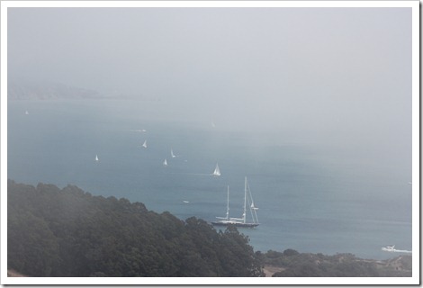 IMG_1526 IMG_1526