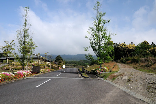 霊園脇から林道へ