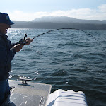 Heintz2011 Photo Gallery