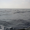 le vent revient nord est on a remis les voiles
