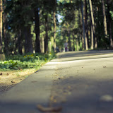 _MG_2564.jpg