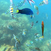 PC110638.JPG