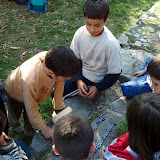 PA260033.JPG