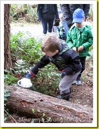 IMG_4526 IMG_4526