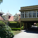 P1010087.JPG