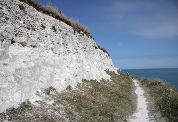 white cliffs of Dover (47) white cliffs of Dover (47)