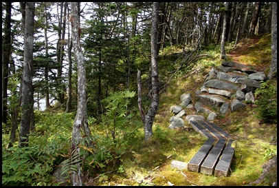 Liberty Point hike Campobello 337