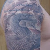 Patriot