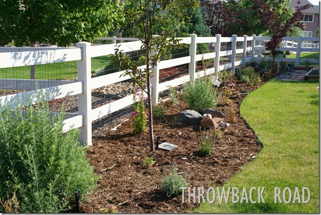 computer was broken, garden pics 101 computer was broken, garden pics 101