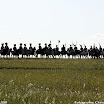 Albuera 1811-2011 Christophe Jagusiak-754.jpg