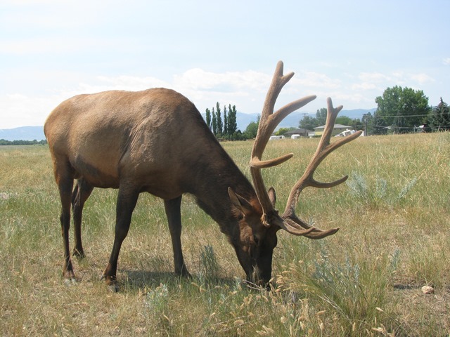 [IMG_9279%255B2%255D.jpg]