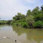 IMG_5206.JPG