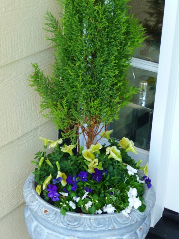 [Porch%2520Easter%2520flowers%25202012%2520006%2520%2528600x800%2529%255B4%255D.jpg]