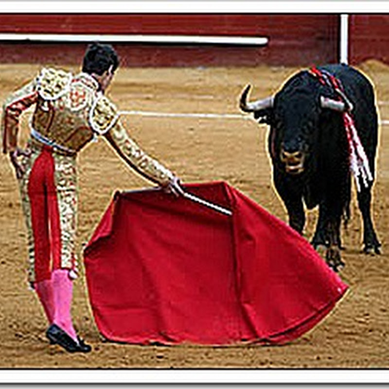 ¿Porque el Toro embiste con el color rojo?