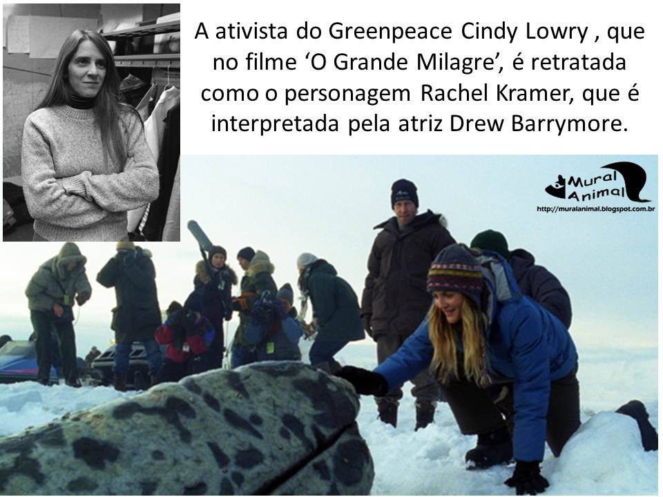 [milagre-baleias%2520%252813%2529%255B3%255D.jpg]