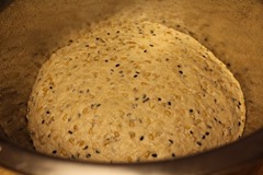 multi-grain-boule-spelt001
