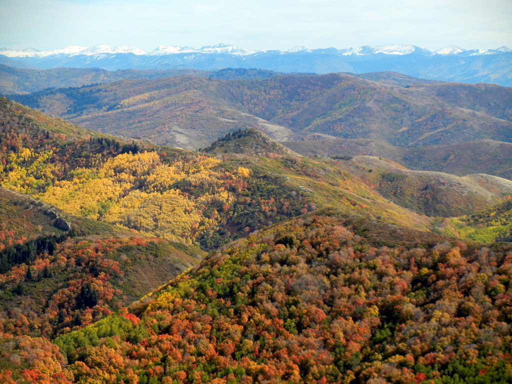 [DSCN3606%255B7%255D.jpg]