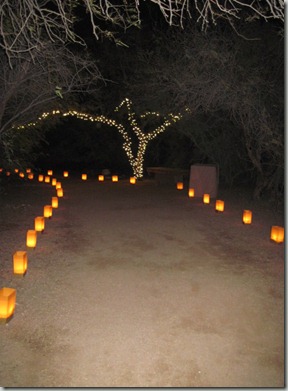 desert botanical 022