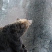 hokkaido_607.jpg