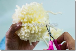 DSC_1417_pompom DSC_1417_pompom