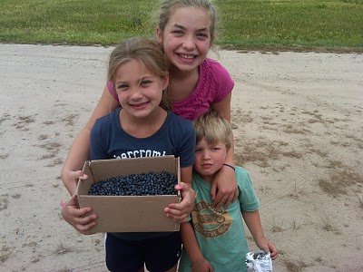 The Cutie Pies