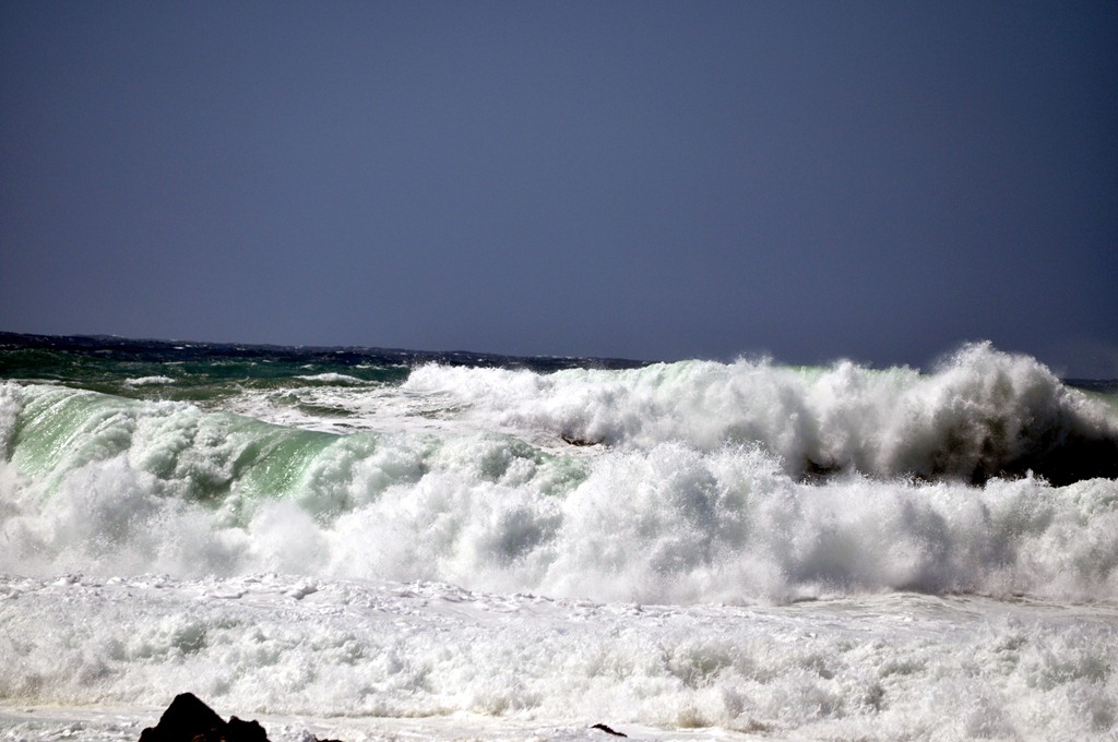 [DSC_5041-001%255B4%255D.jpg]