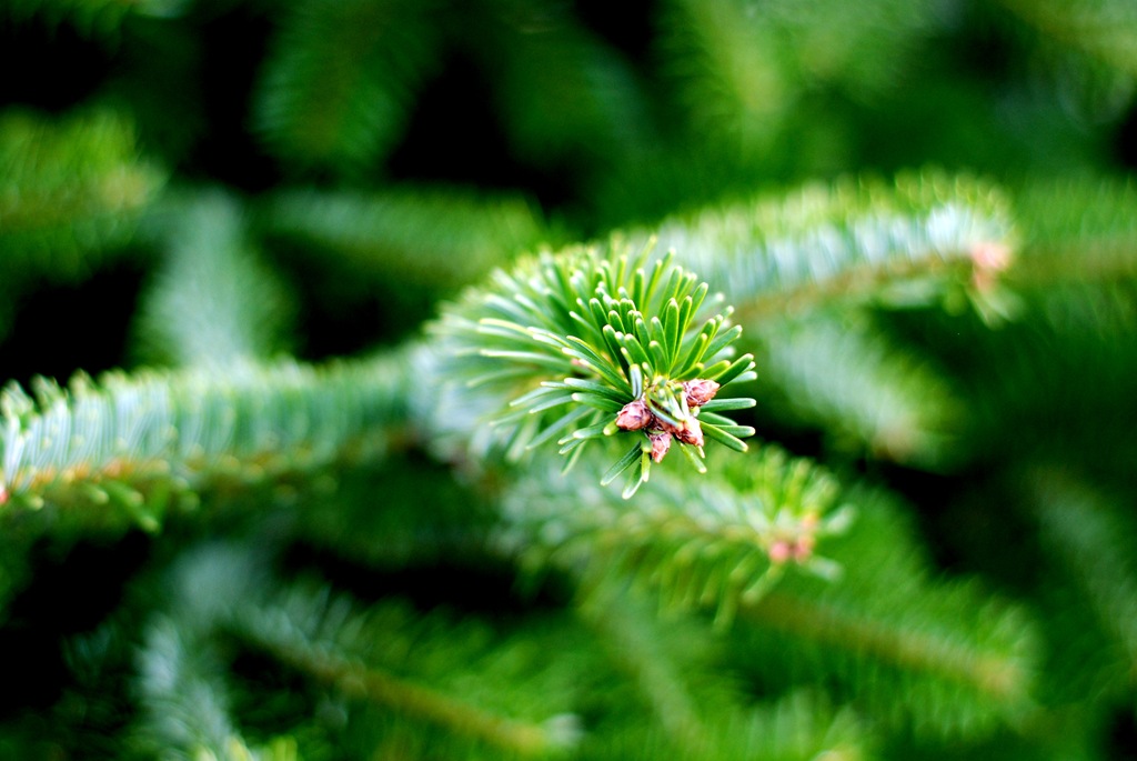 [DSC_9483%255B5%255D.jpg]