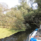 DSCN2967.JPG