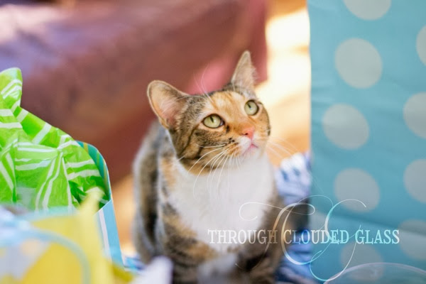 Nautical Themed Baby Shower | Through Clouded Glass BabyShower3 95blog
