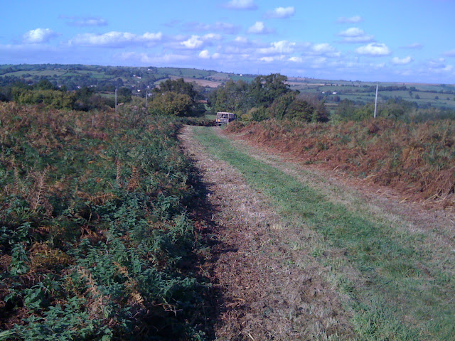  Autumn in the Chew Valley