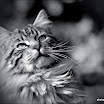 DSC_2502.jpg