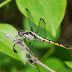 P1290853