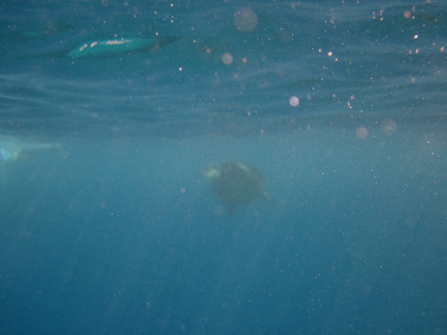 [IMG_3505%255B3%255D.jpg]