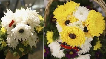 puppybouquet_splash_01